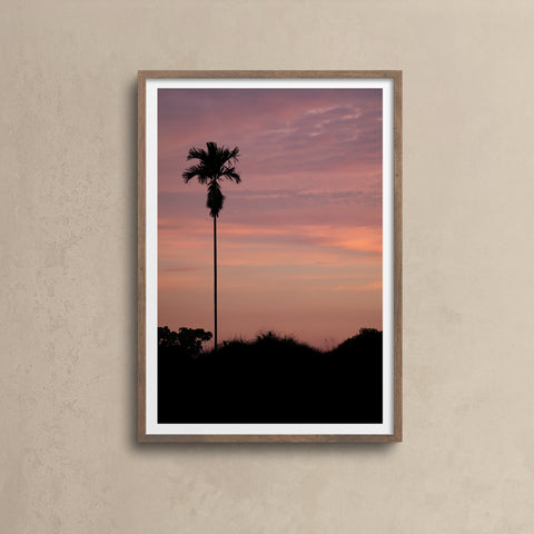 Lone Palm Pink Sky \ Bali 2018