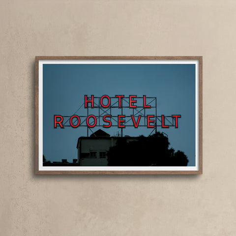 Hotel Roosevelt \ Los Angeles 2009